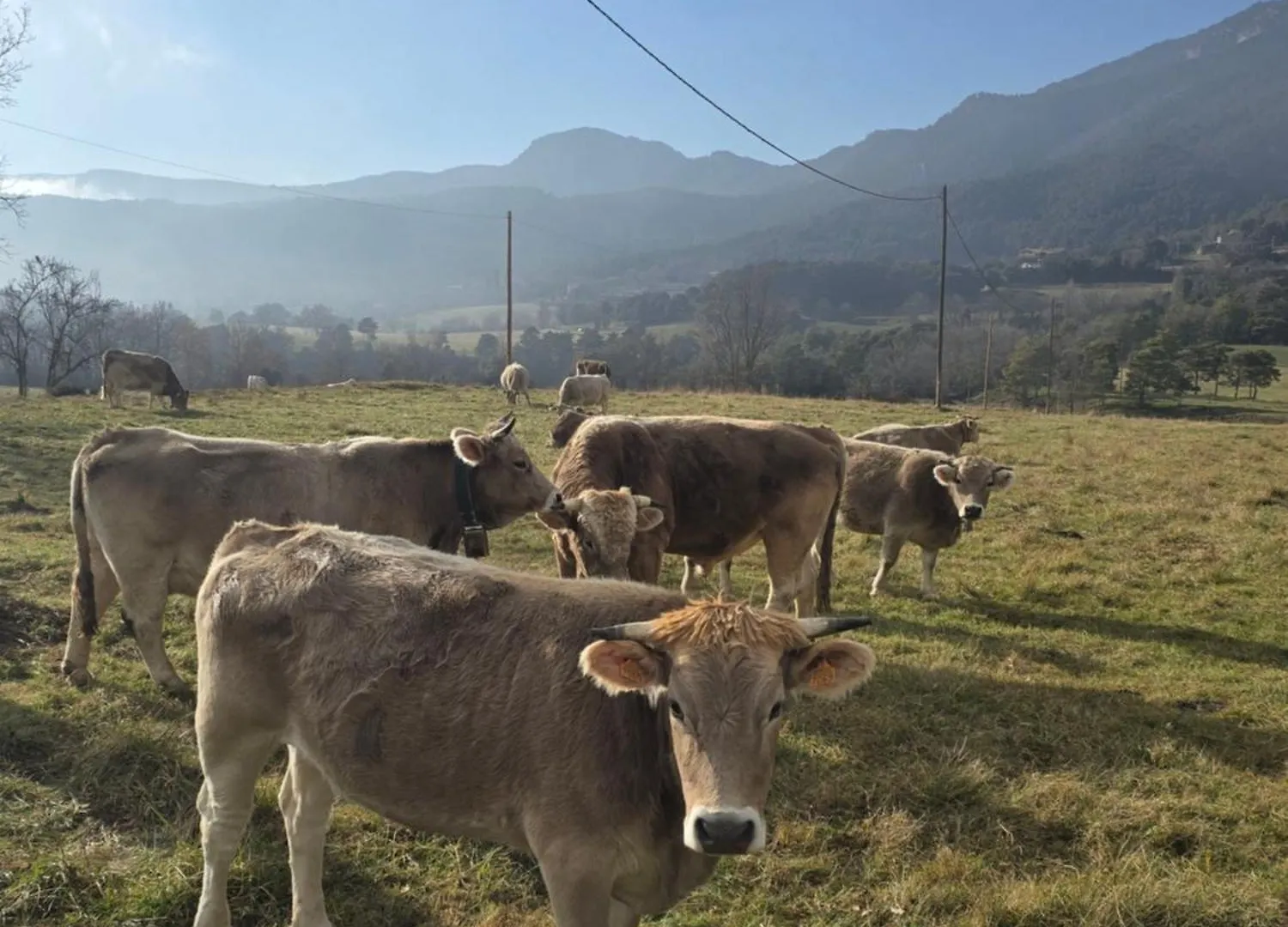Complex Rural Can Caubet Berga 0*,  Spain